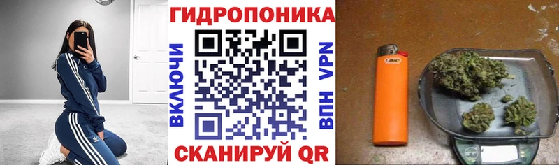 Как найти наркотики Канск ГАШ Конопля omg МЕФ СОЛЬ
