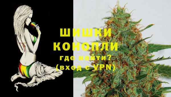 амф Покачи