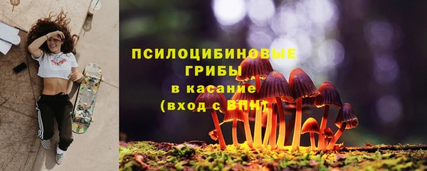 амф Покачи