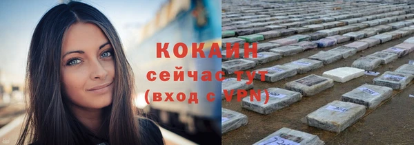 винт Покровск