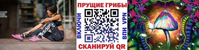 Псилоцибиновые грибы GOLDEN TEACHER  KRAKEN маркетплейс  Канск 